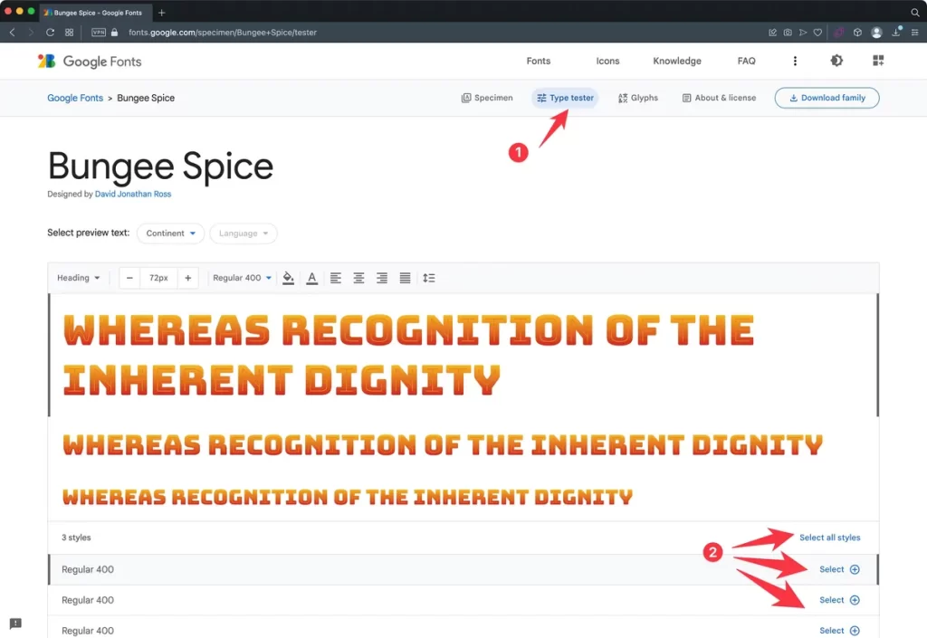 Google Fonts