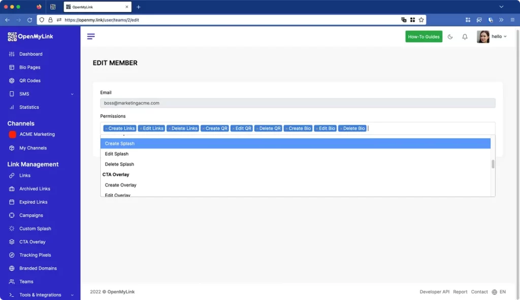 Teams management 3 Screenshot of the team feature interface, showing roles and permissions.